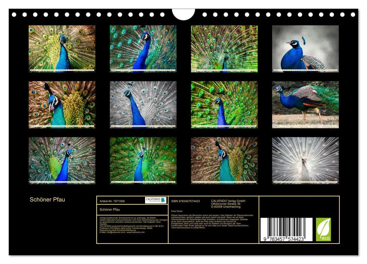 Bild: 9783457574423 | Schöner Pfau (Wandkalender 2026 DIN A4 quer), CALVENDO Monatskalender