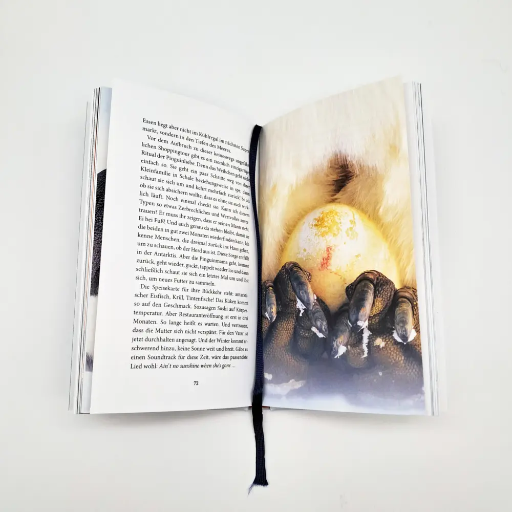 Bild: 9783423284523 | Der Pinguin, der fliegen lernte | Eckart von Hirschhausen | Buch