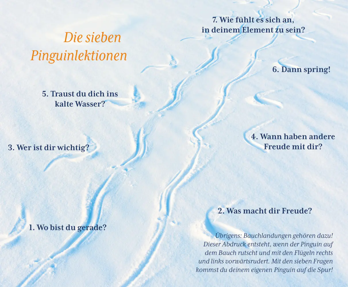 Bild: 9783423284523 | Der Pinguin, der fliegen lernte | Eckart von Hirschhausen | Buch