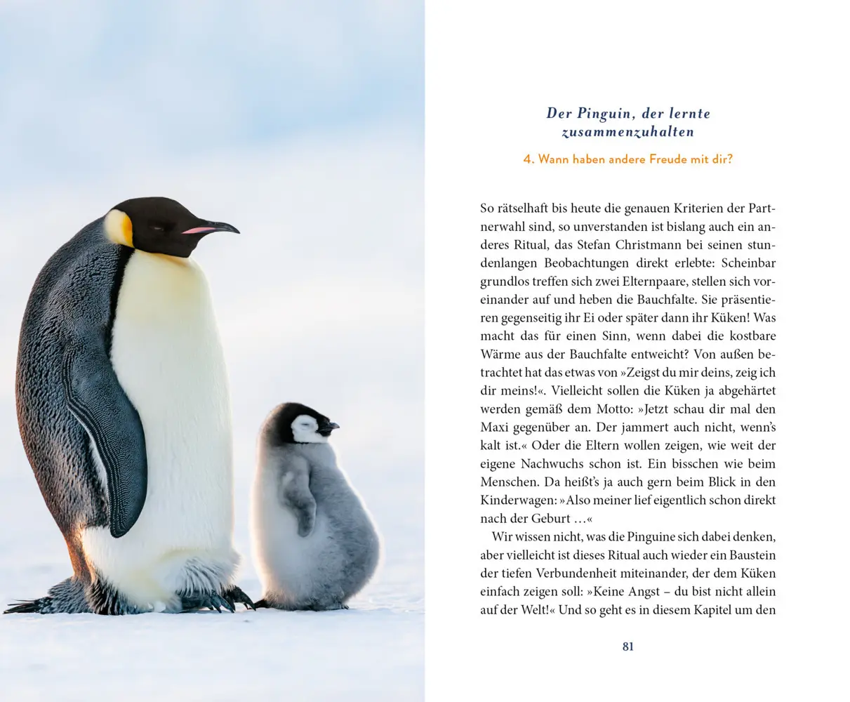 Bild: 9783423284523 | Der Pinguin, der fliegen lernte | Eckart von Hirschhausen | Buch