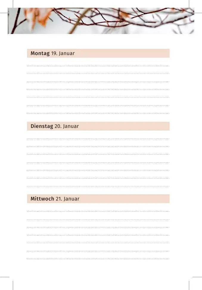 Bild: 9783910294523 | Der Lebensfreude-Taschenkalender 2026 | Doris Wolf (u. a.) | Kalender