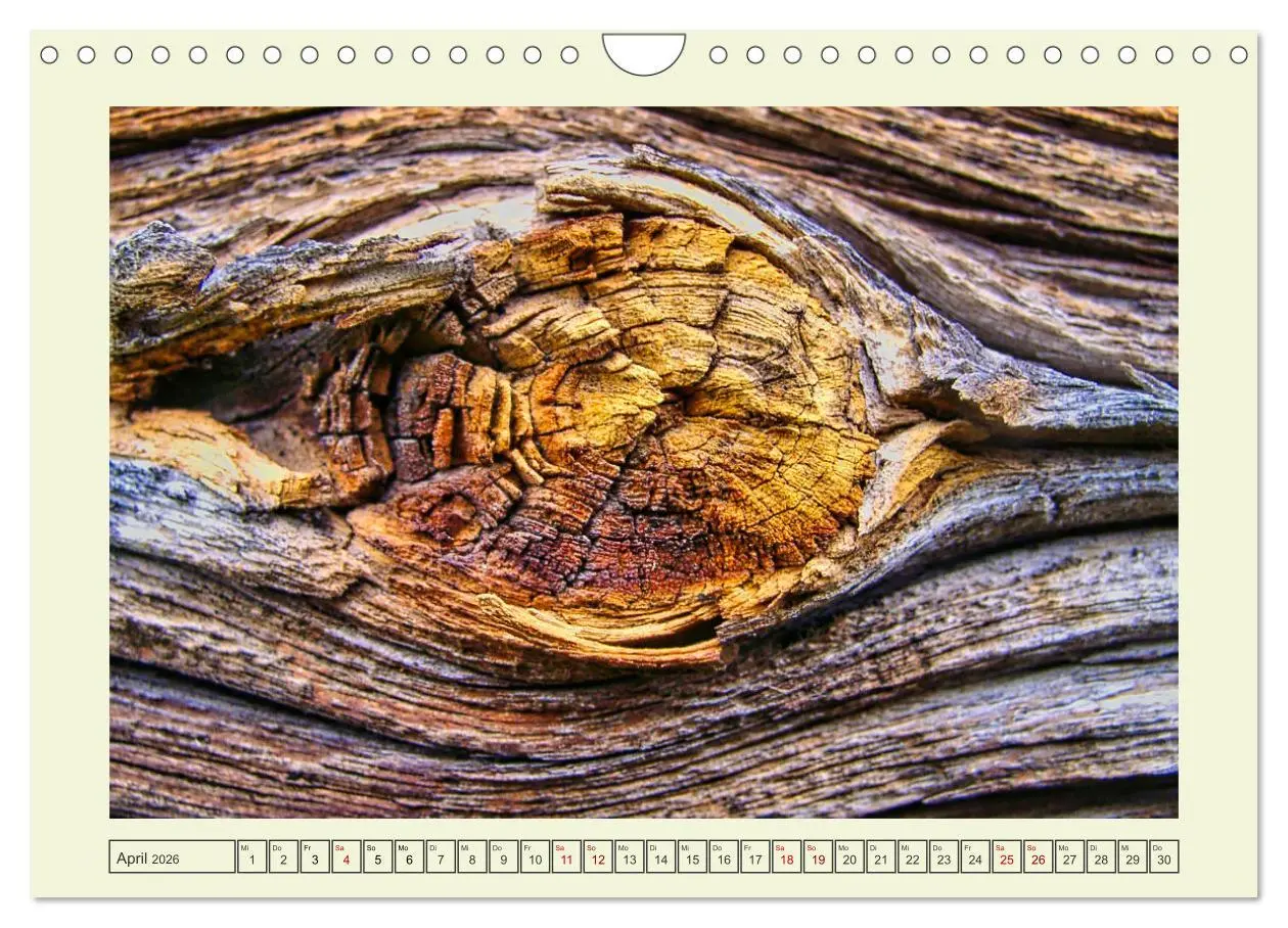 Bild: 9783457624623 | Einfach Holz (Wandkalender 2026 DIN A4 quer), CALVENDO Monatskalender