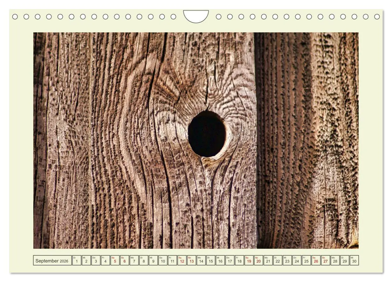 Bild: 9783457624623 | Einfach Holz (Wandkalender 2026 DIN A4 quer), CALVENDO Monatskalender