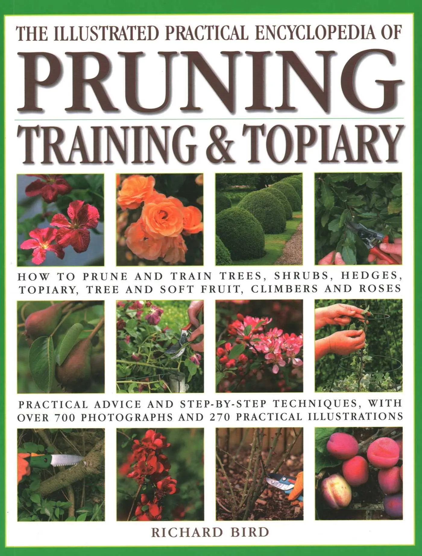 Cover: 9781846814723 | Illustrated Practical Encyclopedia of Pruning, Training and Topiary