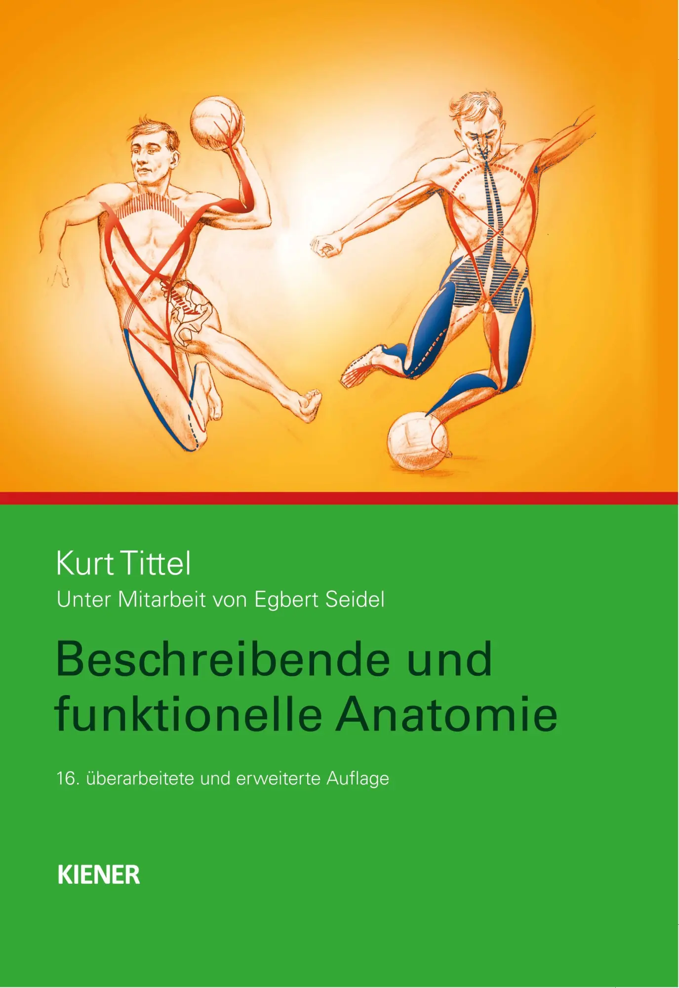 Cover: 9783943324723 | Beschreibende und funktionelle Anatomie | Kurt Tittel | Buch | XIII Cover: 9783943324723 | Beschreibende und funktionelle Anatomie | Kurt Tittel | Buch | XIII
