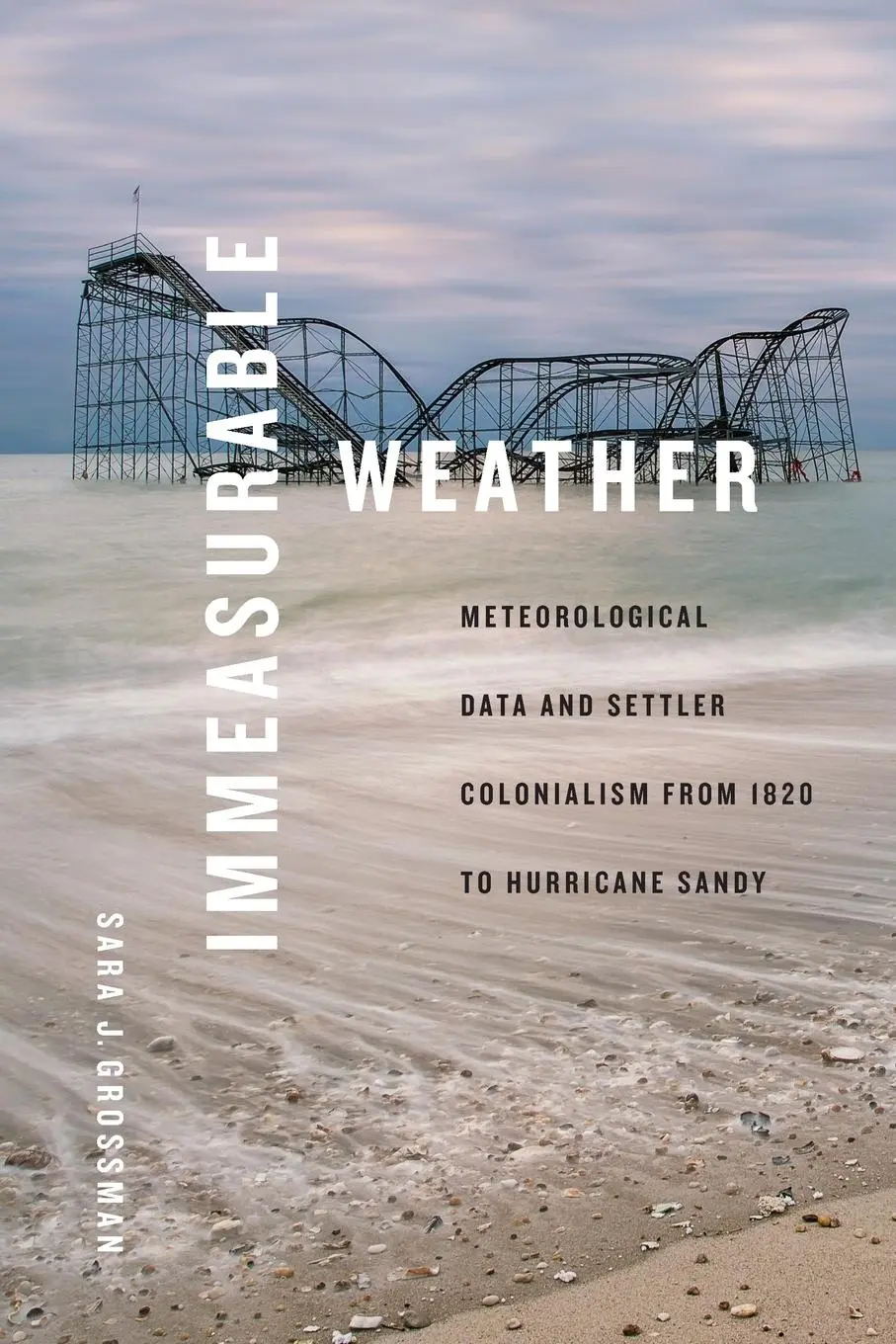 Cover: 9781478025023 | Immeasurable Weather | Sara J. Grossman | Taschenbuch | Englisch
