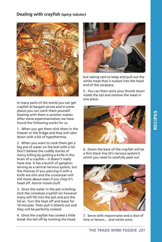 Bild: 9781846235023 | The Trade Wind Foodie | Rod Heikell | Taschenbuch | Englisch | 2013