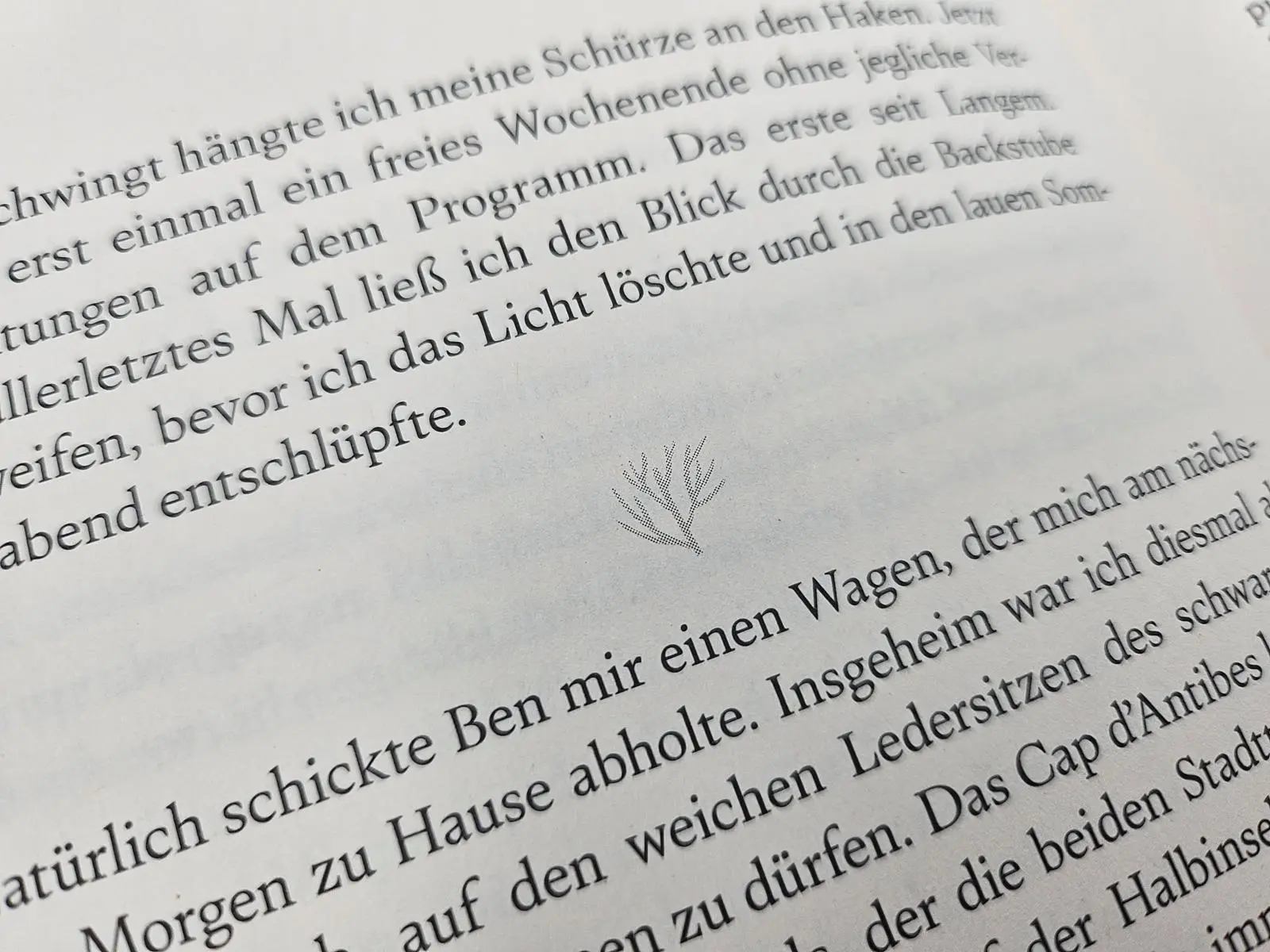 Bild: 9783492065023 | Korallenrosa | Carina Schnell | Taschenbuch | Sommer in Südfrankreich