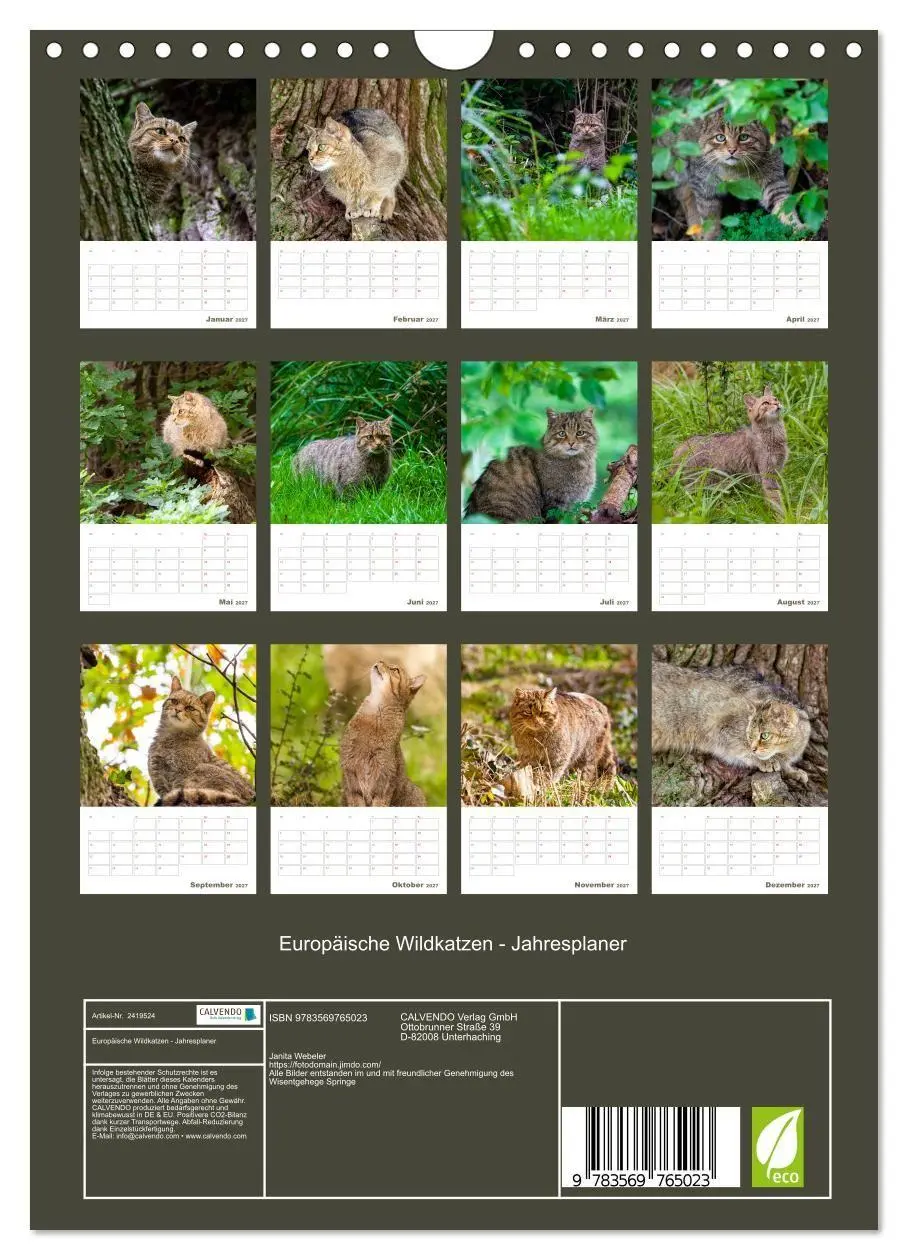 Bild: 9783569765023 | Europäische Wildkatzen - Jahresplaner (Wandkalender 2027 DIN A4...