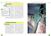 Bild: 9783937285023 | Der Stirnlappenbasilisk | Basiliscus plumifrons | Ingo Kober | Buch