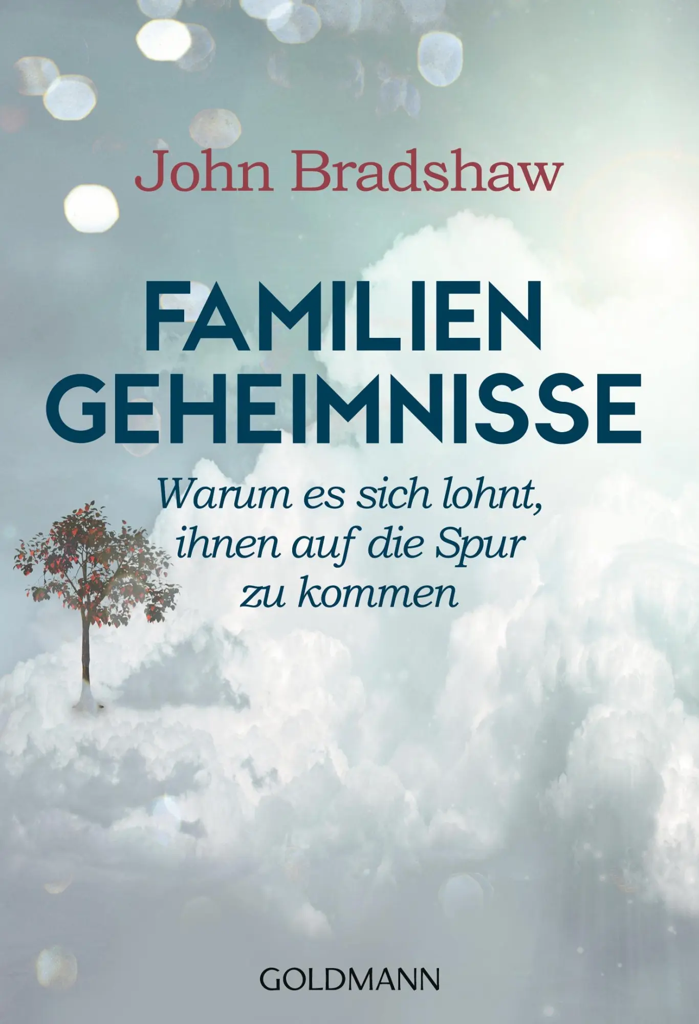 Cover: 9783442175123 | Familiengeheimnisse | John Bradshaw | Taschenbuch | 368 S. | Deutsch