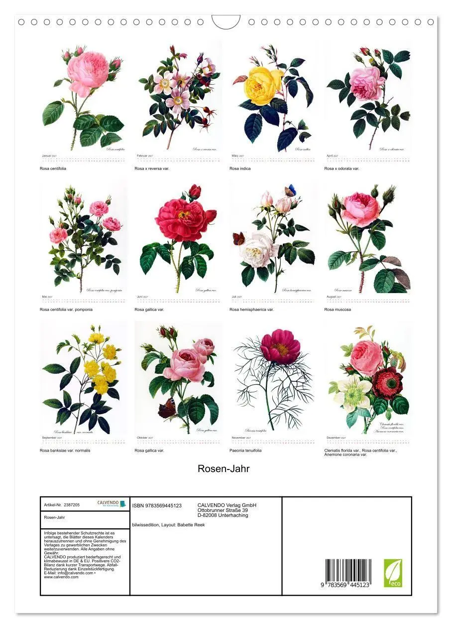 Bild: 9783569445123 | Rosen-Jahr (Wandkalender 2027 DIN A3 hoch), CALVENDO Monatskalender