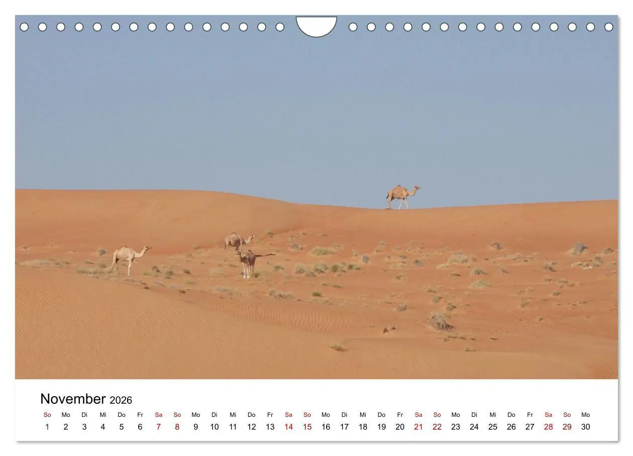 Bild: 9783457635223 | KAMELE... eine Reise durch den Oman. (Wandkalender 2026 DIN A4...