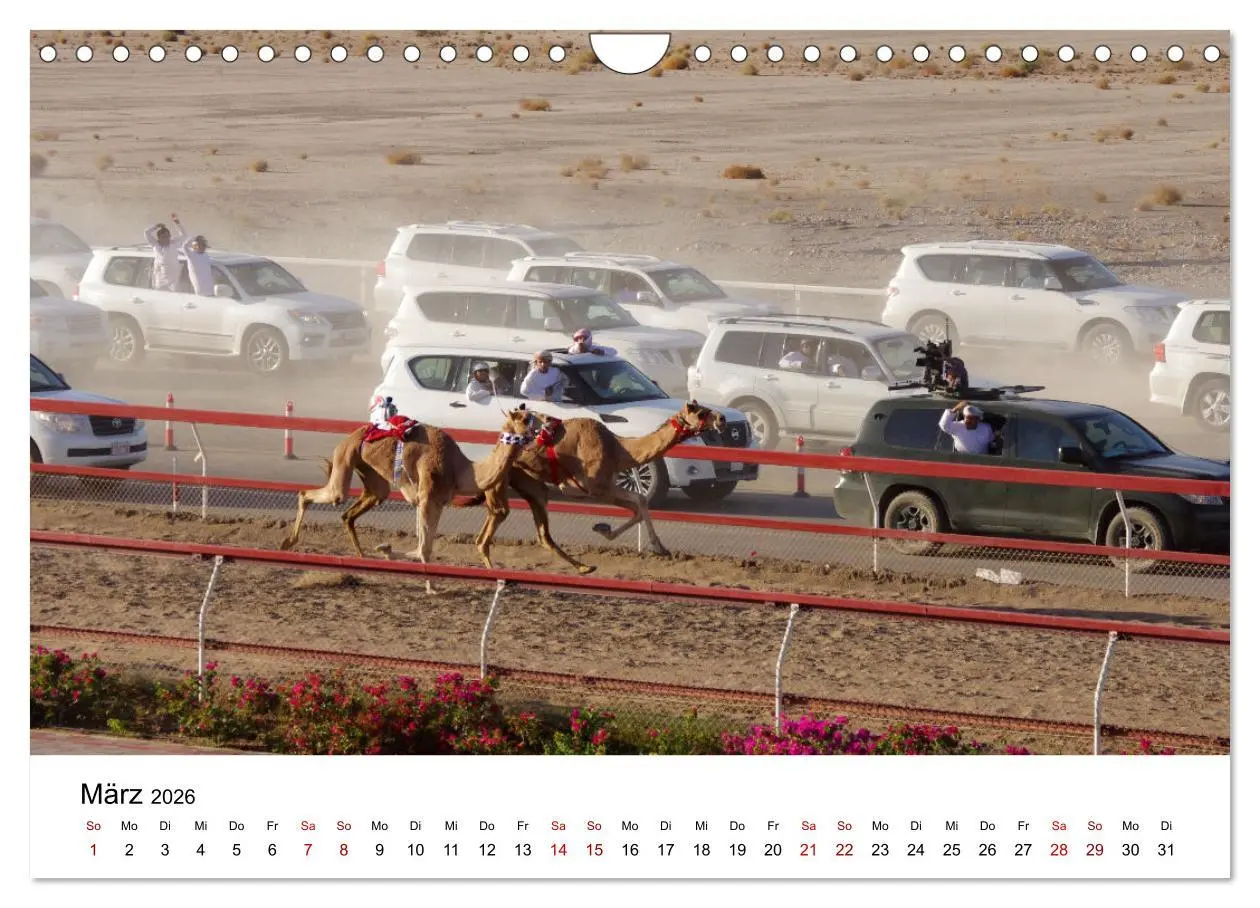 Bild: 9783457635223 | KAMELE... eine Reise durch den Oman. (Wandkalender 2026 DIN A4...