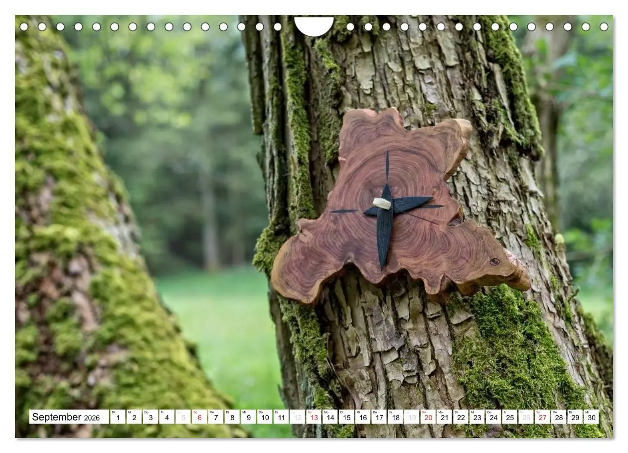 Bild: 9783457945223 | Holz enttäuscht nie (Wandkalender 2026 DIN A4 quer), CALVENDO...
