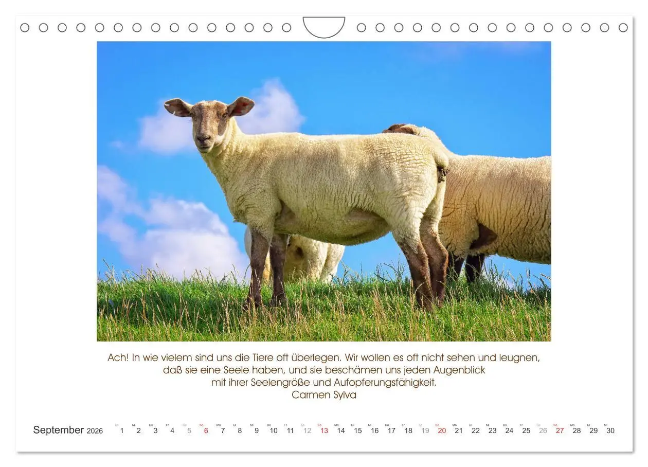 Bild: 9783516105223 | Der Tierkalender mit Zitaten, Weisheiten und Sprüchen (Wandkalender...