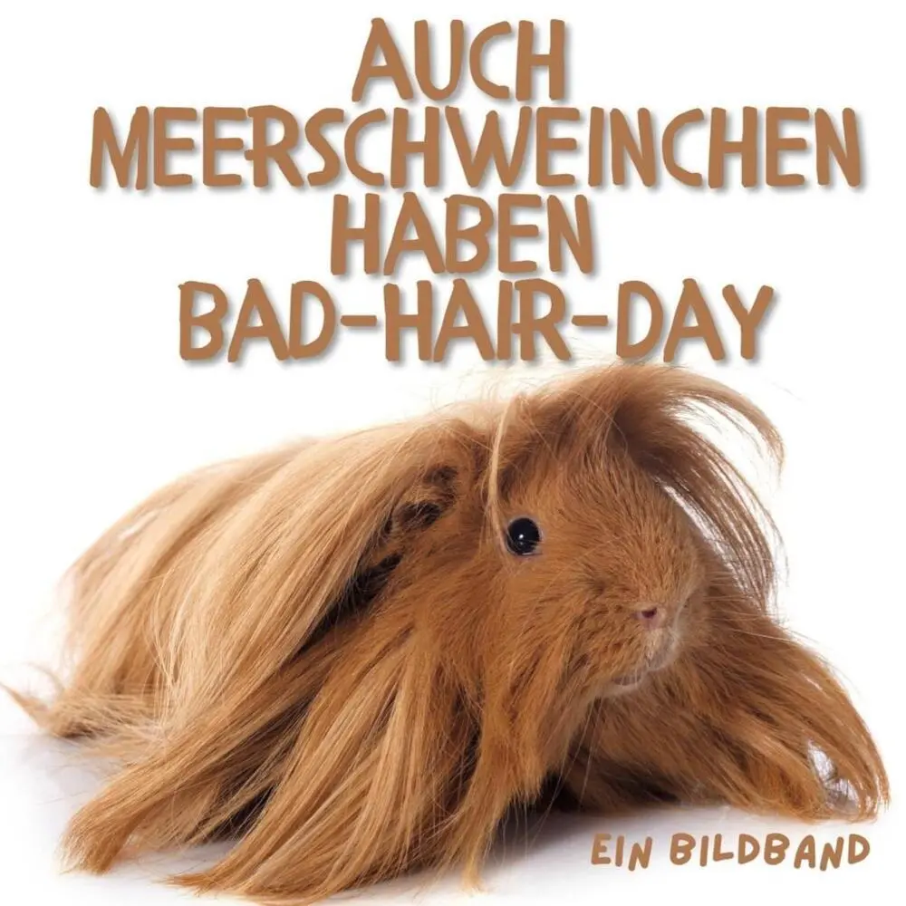 Cover: 9783750505223 | Auch Meerschweinchen haben Bad-Hair-Day | Ein Bildband | Bibi Hübsch