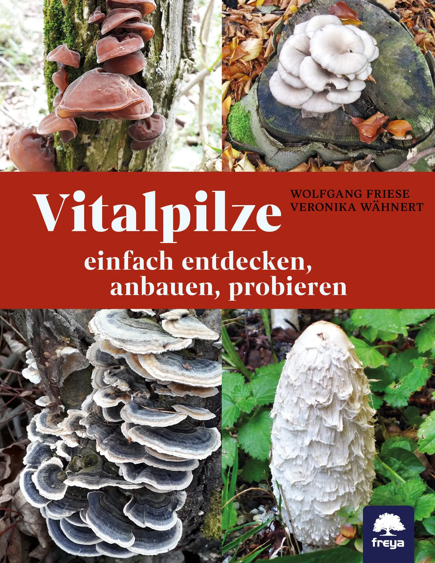 Cover: 9783990255223 | Vitalpilze | einfach entdecken, anbauen, probieren | Friese (u. a.)