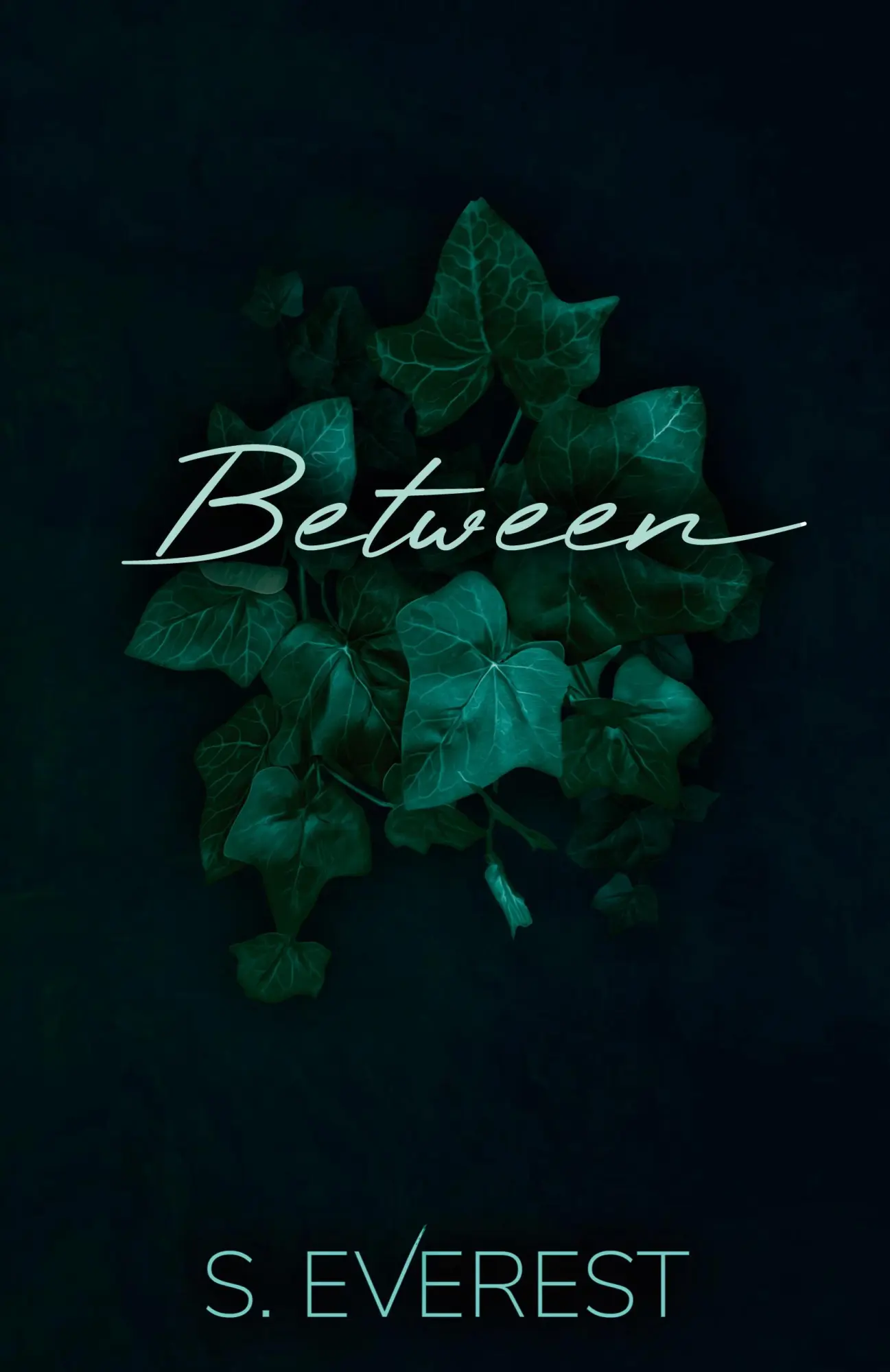 Cover: 9798988475323 | Between | S. Everest | Taschenbuch | Englisch | 2024 | S. Everest