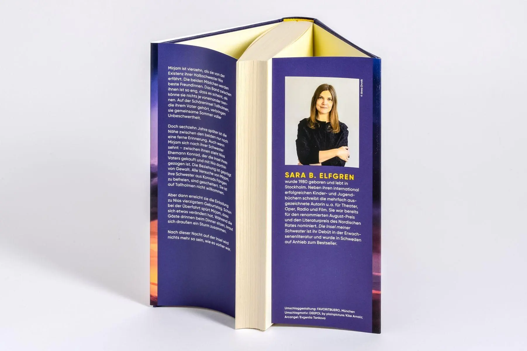 Bild: 9783453275423 | Die Insel meiner Schwester | Sara B. Elfgren | Buch | 304 S. | Deutsch