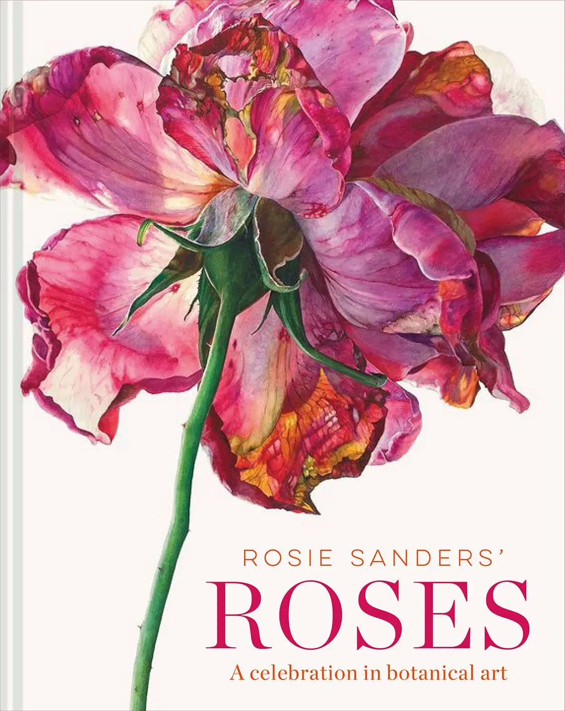 Cover: 9781849945523 | Rosie Sanders' Roses | A Celebration in Botanical Art | Rosie Sanders