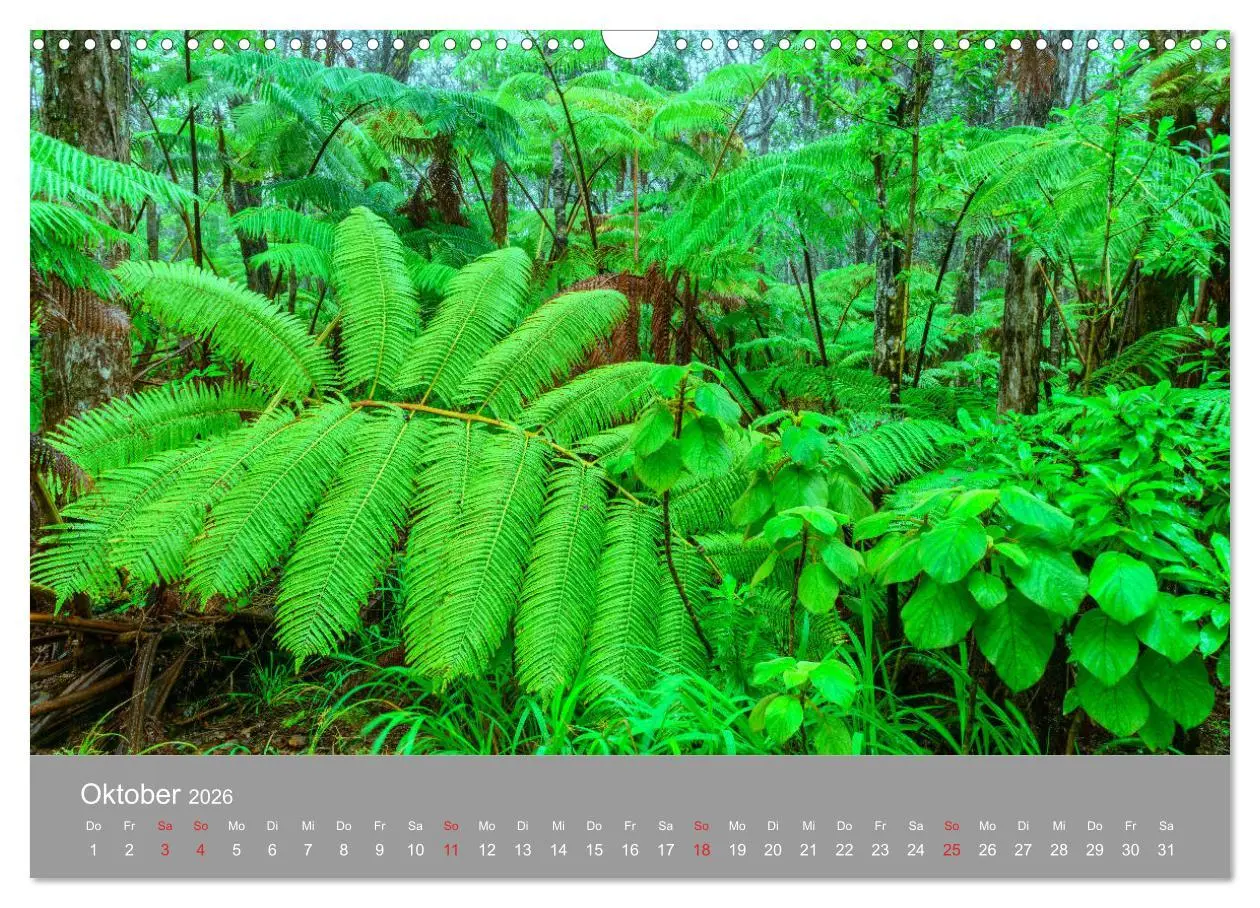Bild: 9783457775523 | SPIRIT OF HAWAII (Wandkalender 2026 DIN A3 quer), CALVENDO...