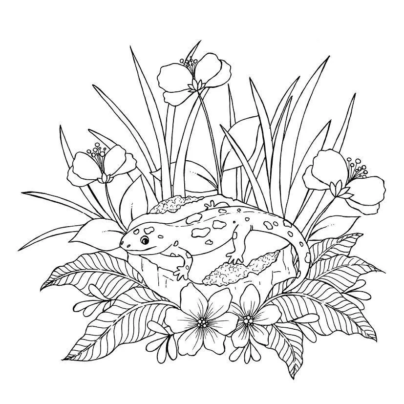 Bild: 9783745935523 | 333 Ausmalen - Wunder der Natur | Anastasia Sälinger | Taschenbuch