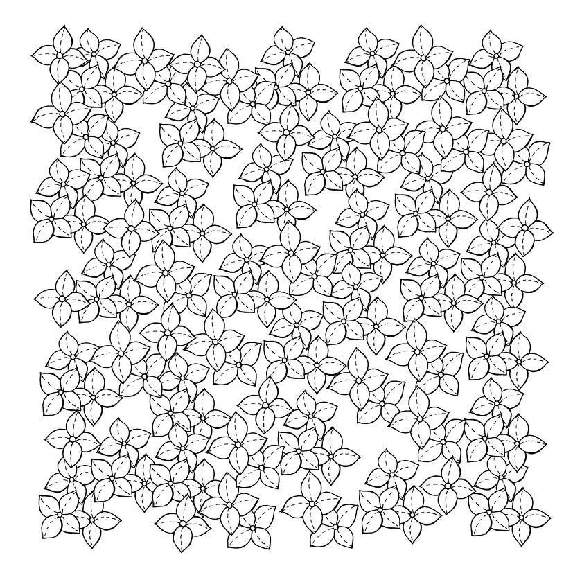 Bild: 9783745935523 | 333 Ausmalen - Wunder der Natur | Anastasia Sälinger | Taschenbuch