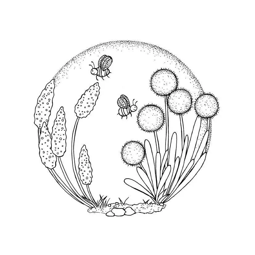 Bild: 9783745935523 | 333 Ausmalen - Wunder der Natur | Anastasia Sälinger | Taschenbuch