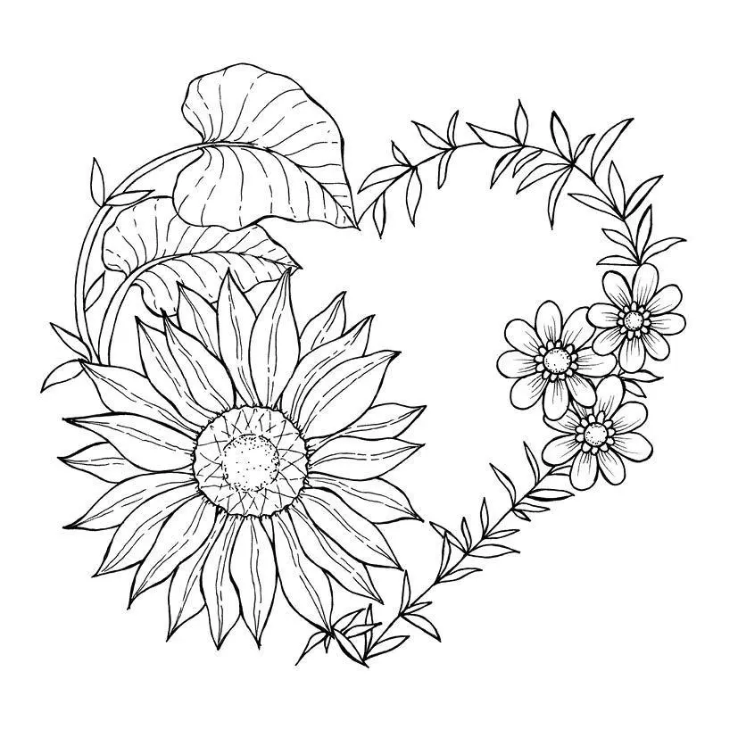 Bild: 9783745935523 | 333 Ausmalen - Wunder der Natur | Anastasia Sälinger | Taschenbuch