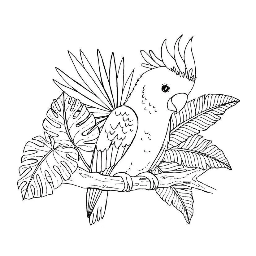 Bild: 9783745935523 | 333 Ausmalen - Wunder der Natur | Anastasia Sälinger | Taschenbuch