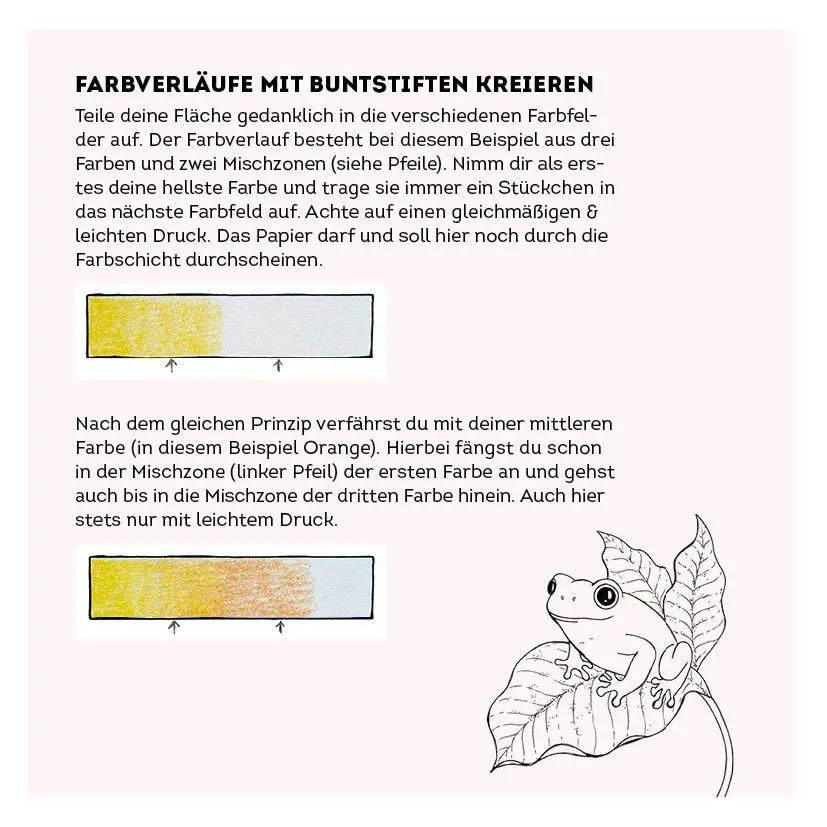 Bild: 9783745935523 | 333 Ausmalen - Wunder der Natur | Anastasia Sälinger | Taschenbuch
