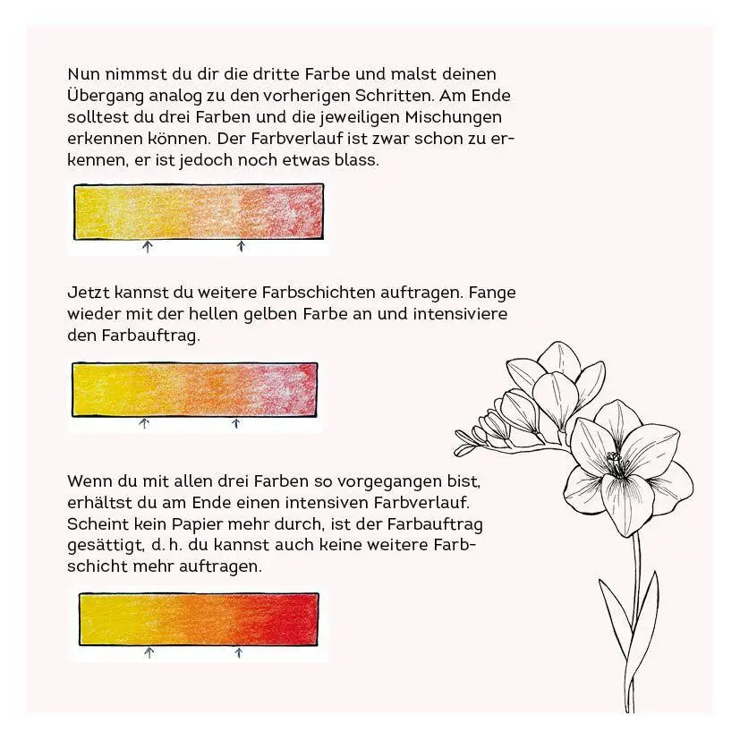 Bild: 9783745935523 | 333 Ausmalen - Wunder der Natur | Anastasia Sälinger | Taschenbuch