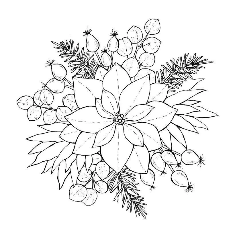 Bild: 9783745935523 | 333 Ausmalen - Wunder der Natur | Anastasia Sälinger | Taschenbuch