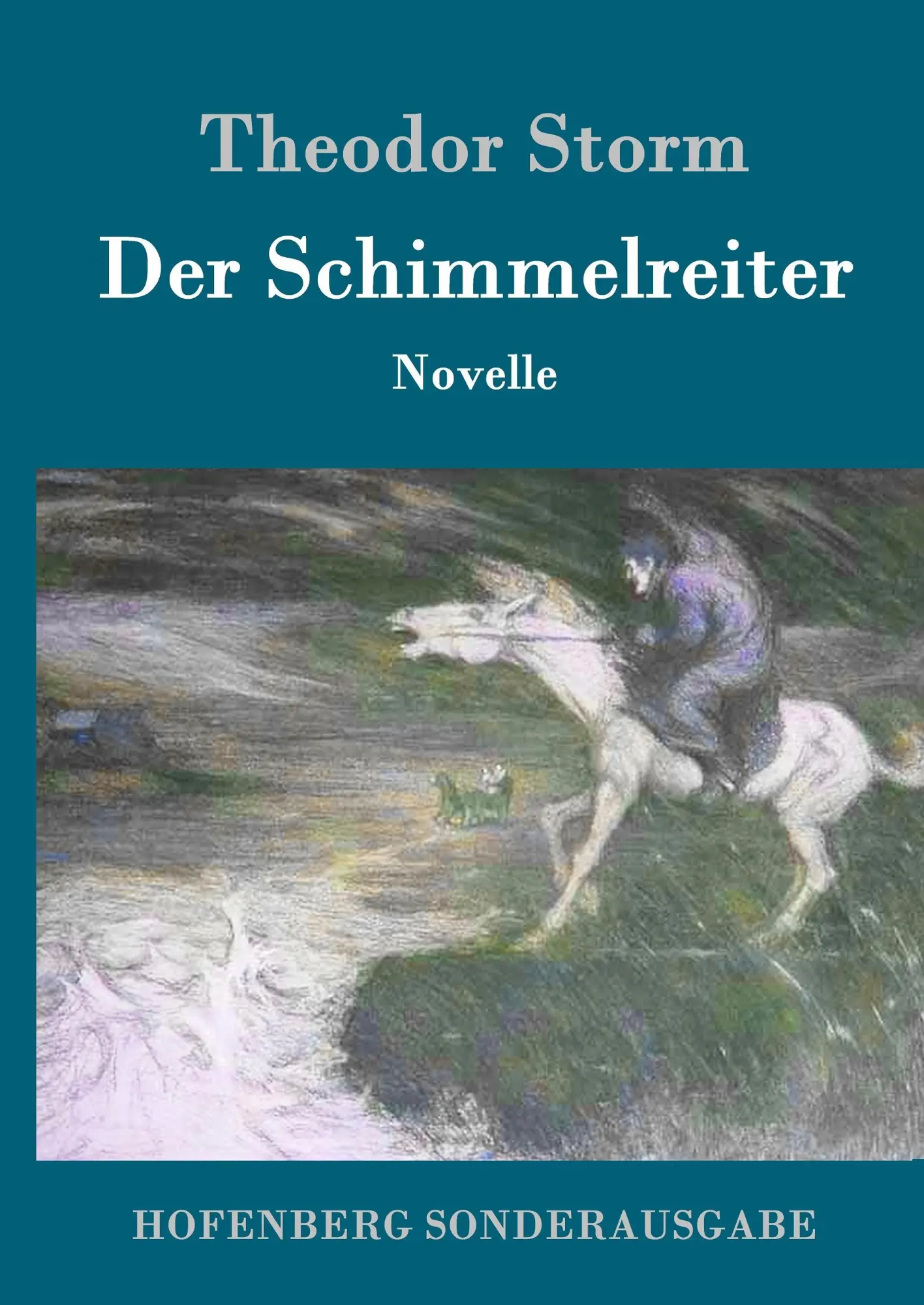Cover: 9783843015523 | Der Schimmelreiter | Novelle | Theodor Storm | Buch | 104 S. | Deutsch