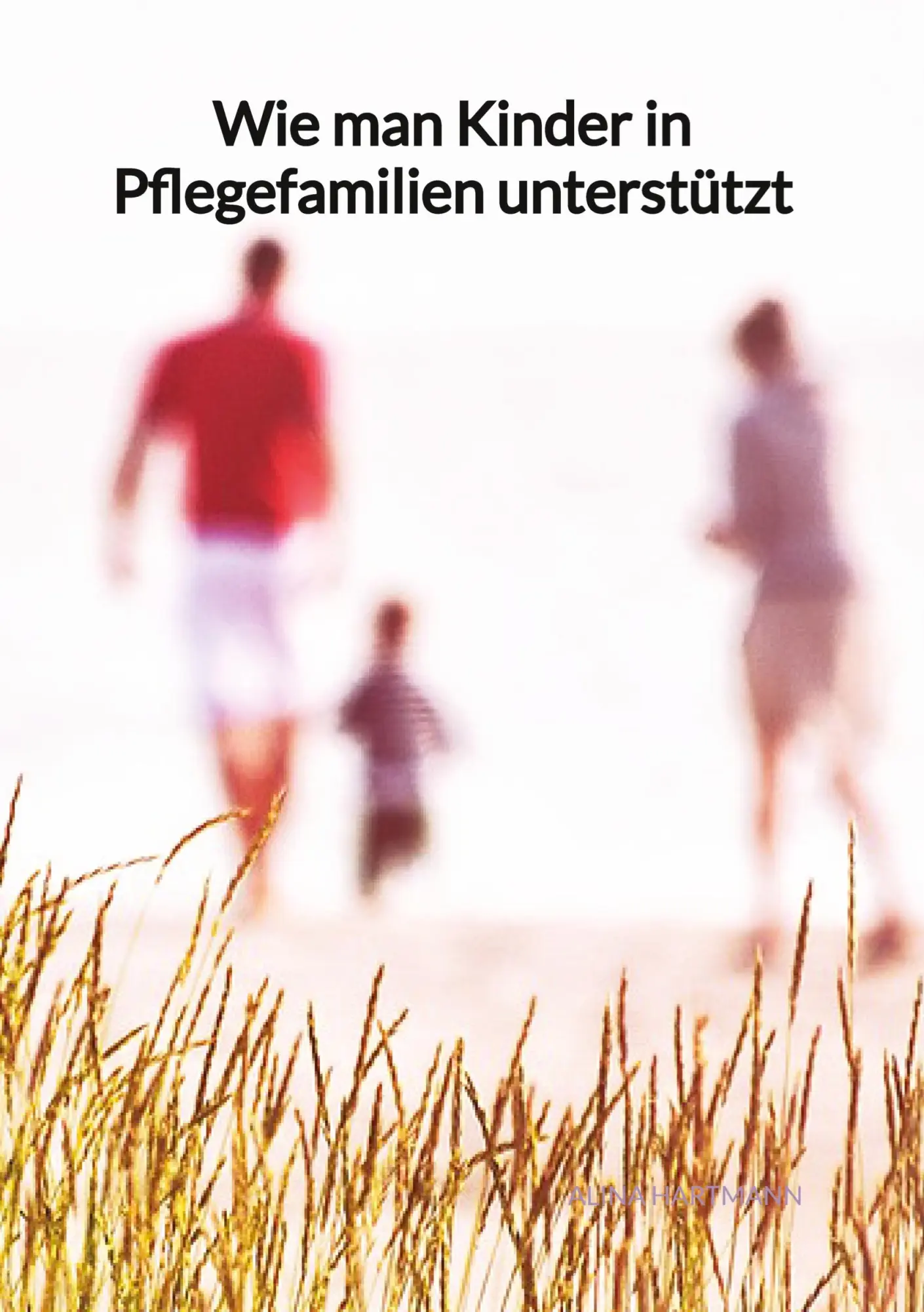 Cover: 9783347945623 | Wie man Kinder in Pflegefamilien unterstützt | Alina Hartmann | Buch