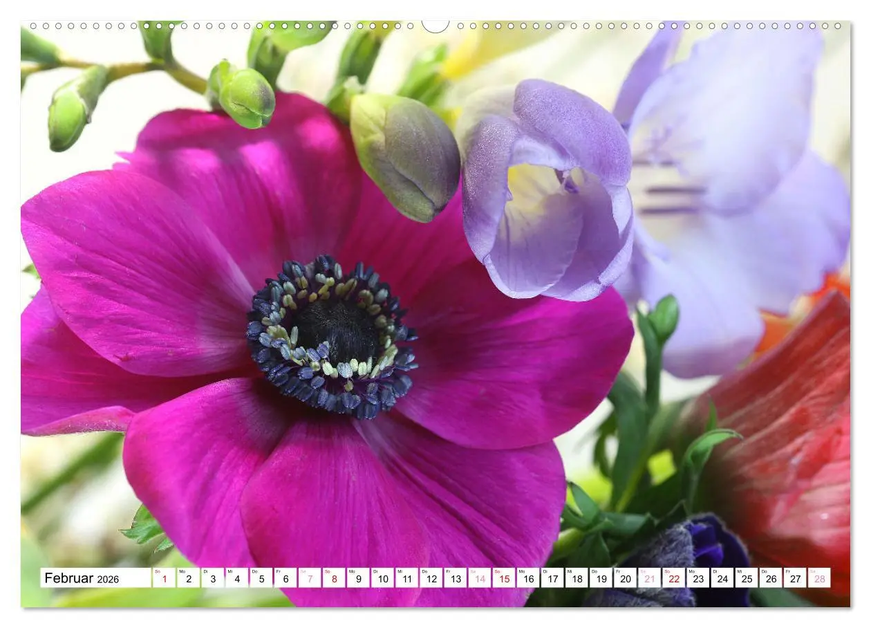 Bild: 9783457385623 | Blumenpracht - Blüten und Sträuße (hochwertiger Premium...