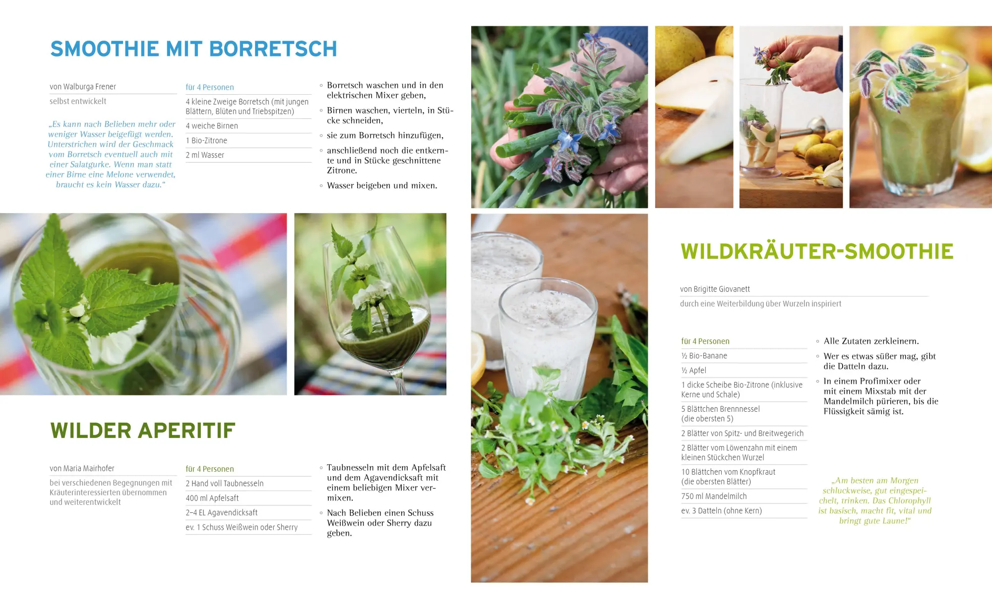 Bild: 9783706625623 | Die Kraft der Kräuter nutzen | Irene Hager (u. a.) | Buch | 456 S.