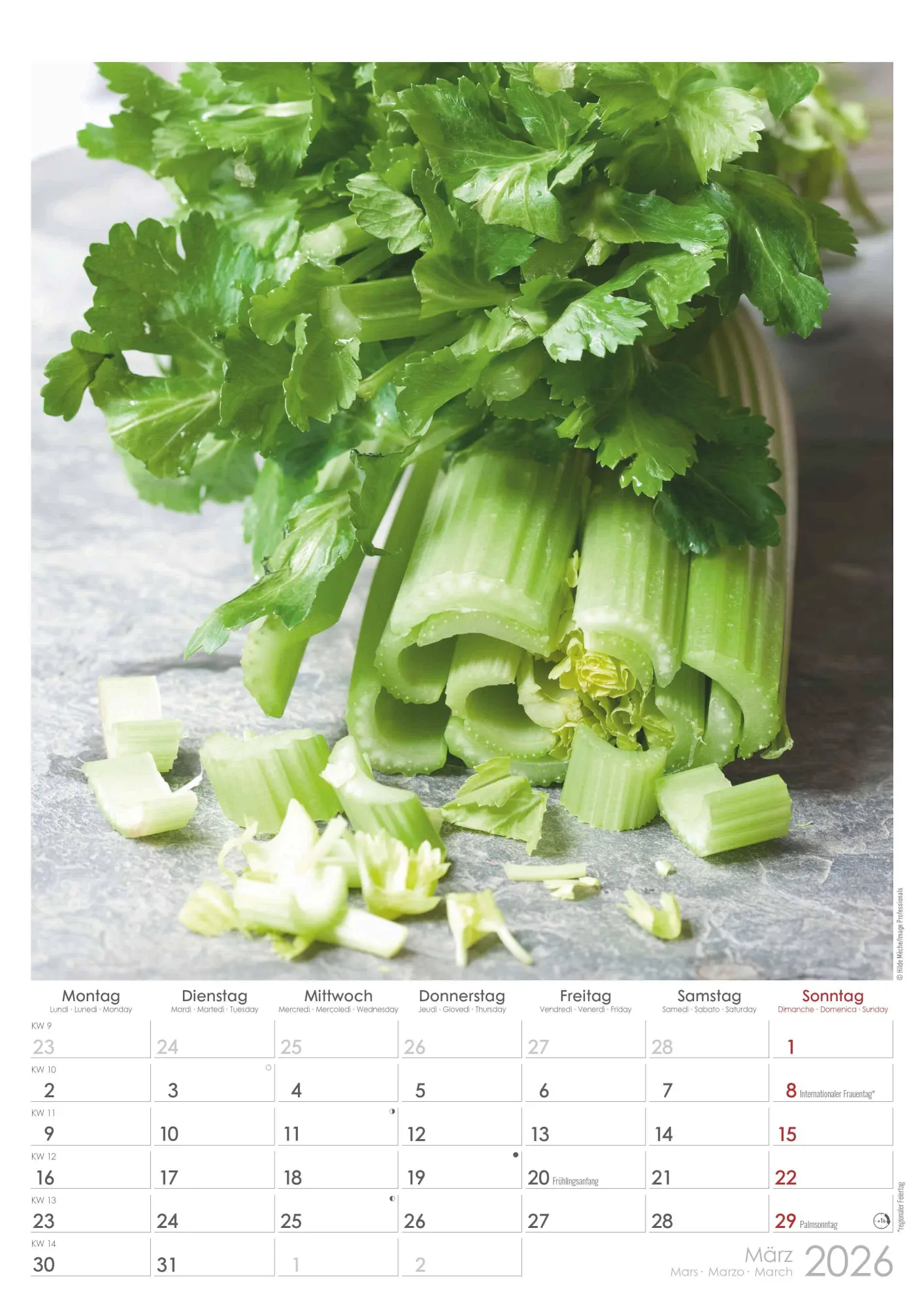 Bild: 4069095005723 | Kräuter &amp; Gewürze 2026 - Bildkalender A3 (29,7x42 cm) - Herbs &amp;...