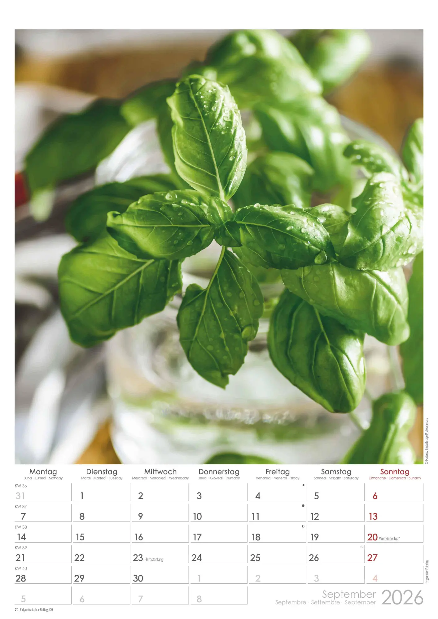 Bild: 4069095005723 | Kräuter &amp; Gewürze 2026 - Bildkalender A3 (29,7x42 cm) - Herbs &amp;...