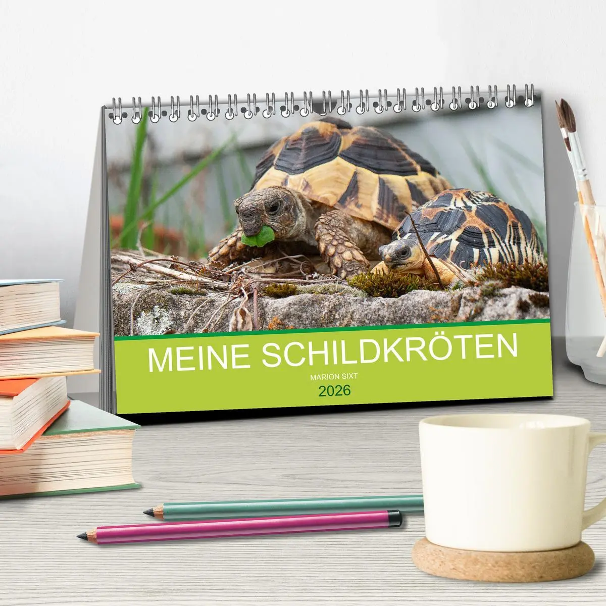 Bild: 9783457825723 | Meine Schildkröten (Tischkalender 2026 DIN A5 quer), CALVENDO...