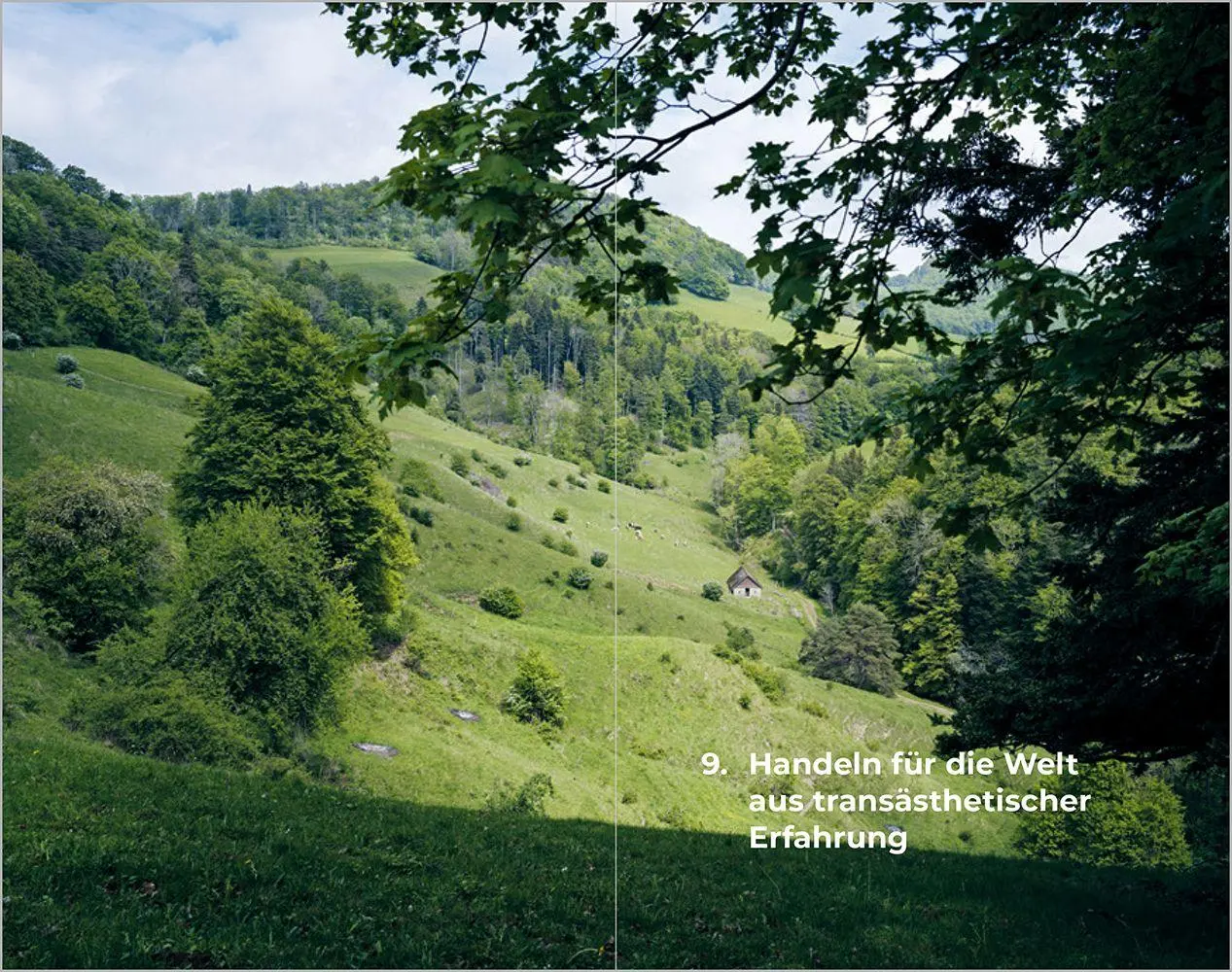 Bild: 9783987265723 | Das Prinzip Sorge | Raimund Rodewald | Taschenbuch | 216 S. | Deutsch