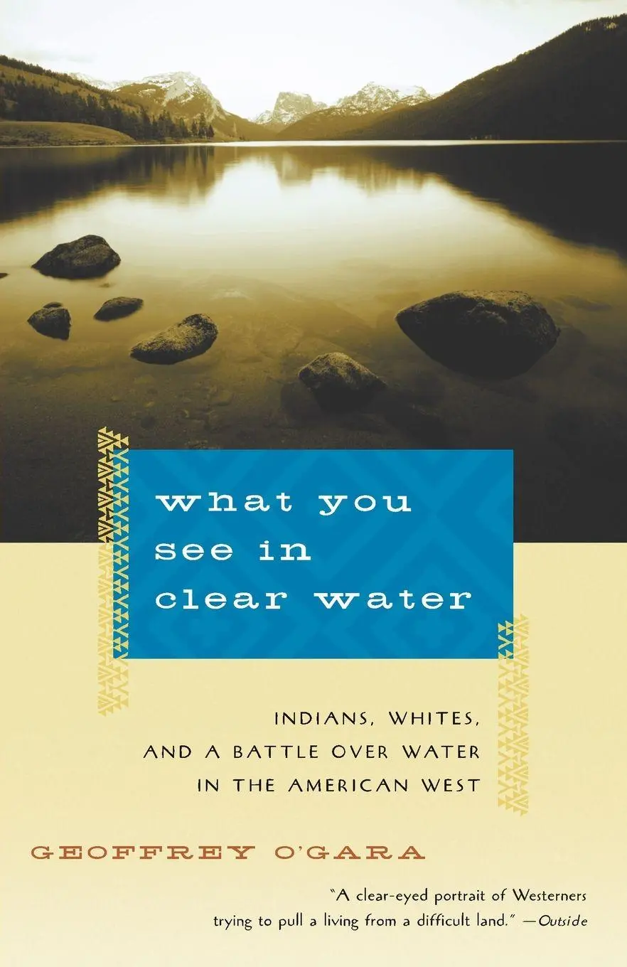 Cover: 9780679735823 | What You See in Clear Water | Geoffrey O'Gara | Taschenbuch | Englisch