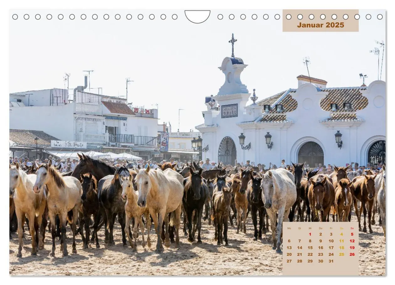 Bild: 9783435105823 | Pferde - Andalusiens wilder Westen (Wandkalender 2025 DIN A4 quer),...
