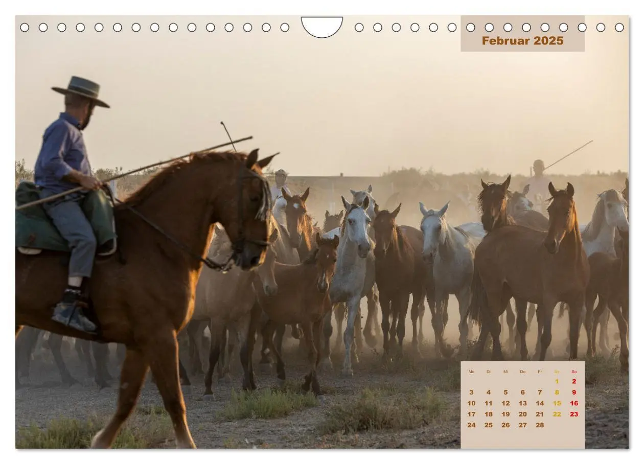 Bild: 9783435105823 | Pferde - Andalusiens wilder Westen (Wandkalender 2025 DIN A4 quer),...