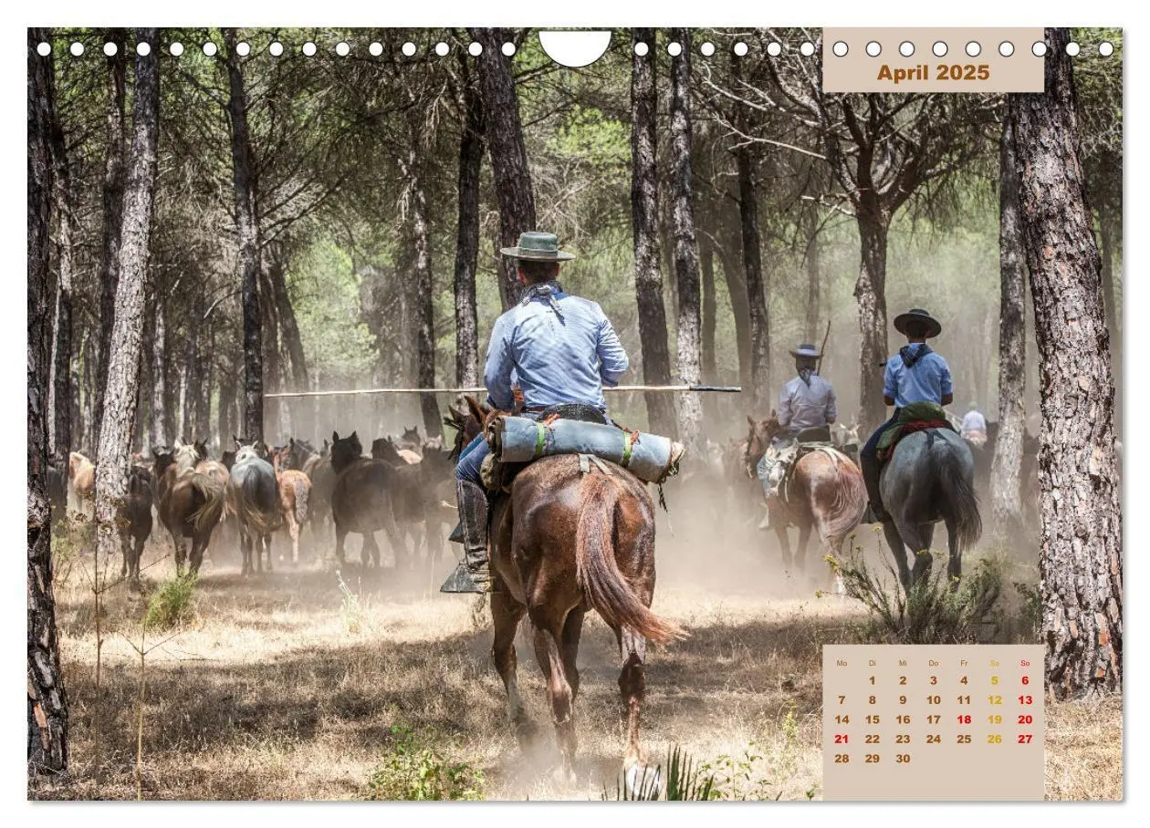 Bild: 9783435105823 | Pferde - Andalusiens wilder Westen (Wandkalender 2025 DIN A4 quer),...