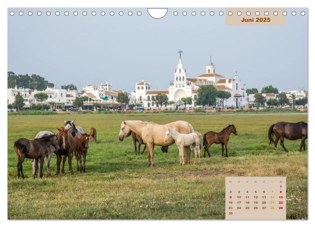 Bild: 9783435105823 | Pferde - Andalusiens wilder Westen (Wandkalender 2025 DIN A4 quer),...