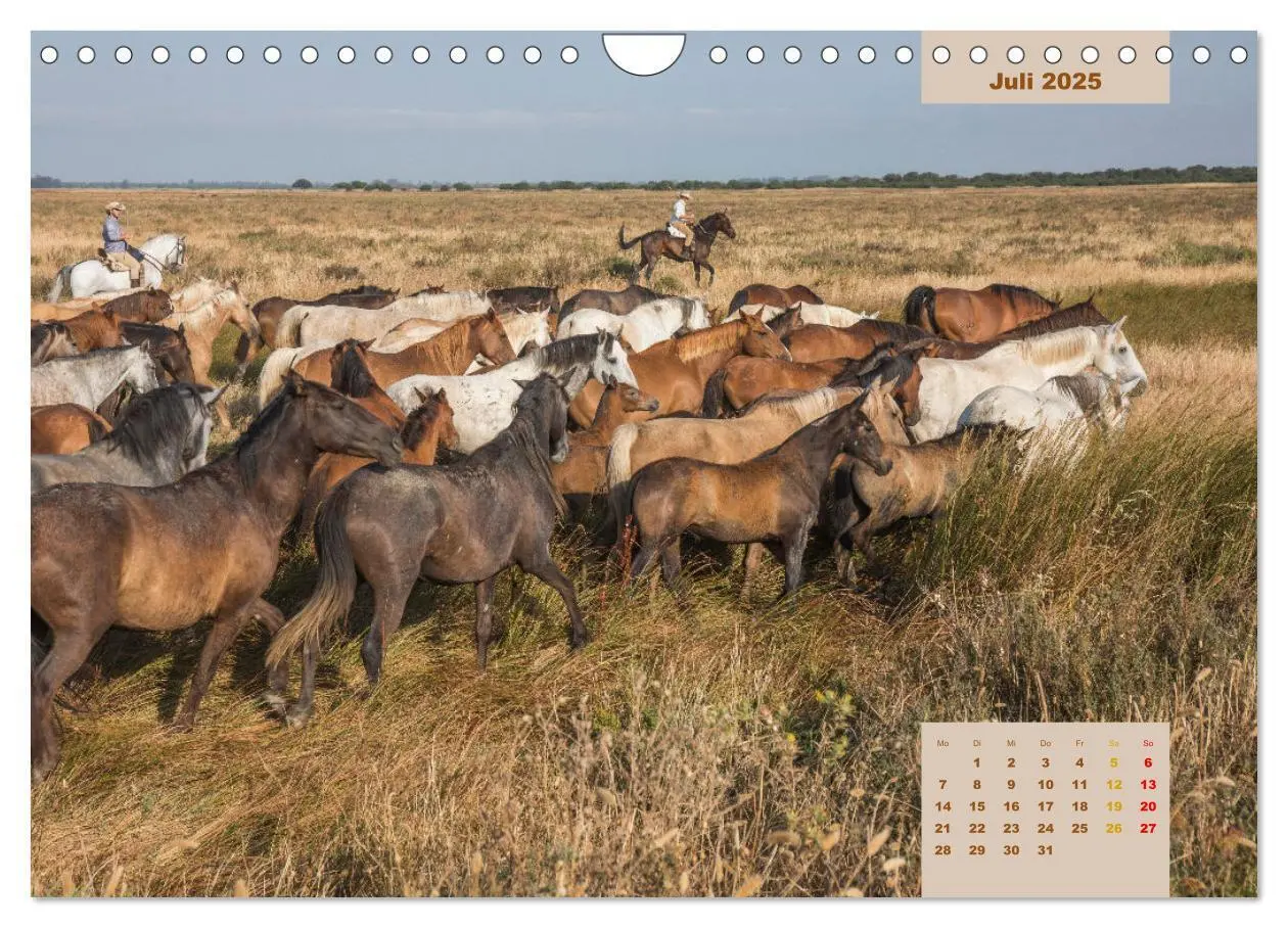 Bild: 9783435105823 | Pferde - Andalusiens wilder Westen (Wandkalender 2025 DIN A4 quer),...