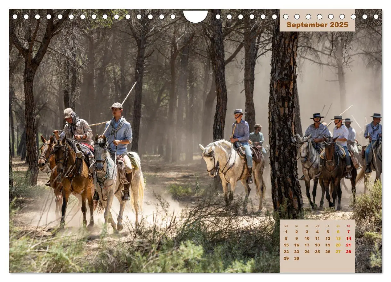 Bild: 9783435105823 | Pferde - Andalusiens wilder Westen (Wandkalender 2025 DIN A4 quer),...