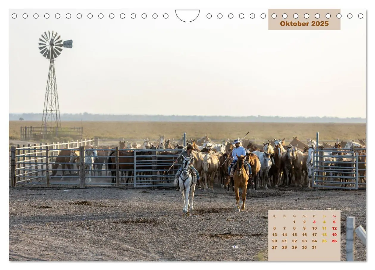 Bild: 9783435105823 | Pferde - Andalusiens wilder Westen (Wandkalender 2025 DIN A4 quer),...